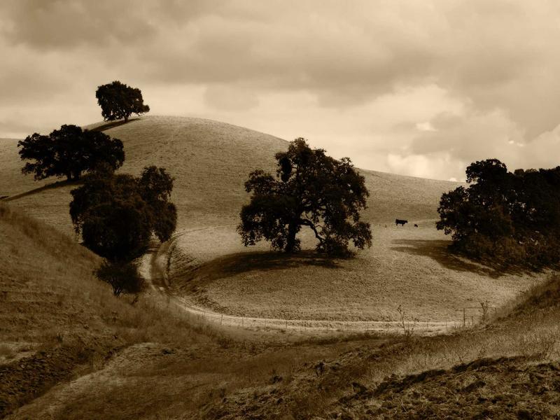 sudoku cognitive benefits screenshot 2