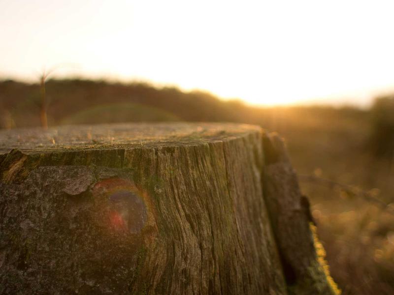 android screenshot 4